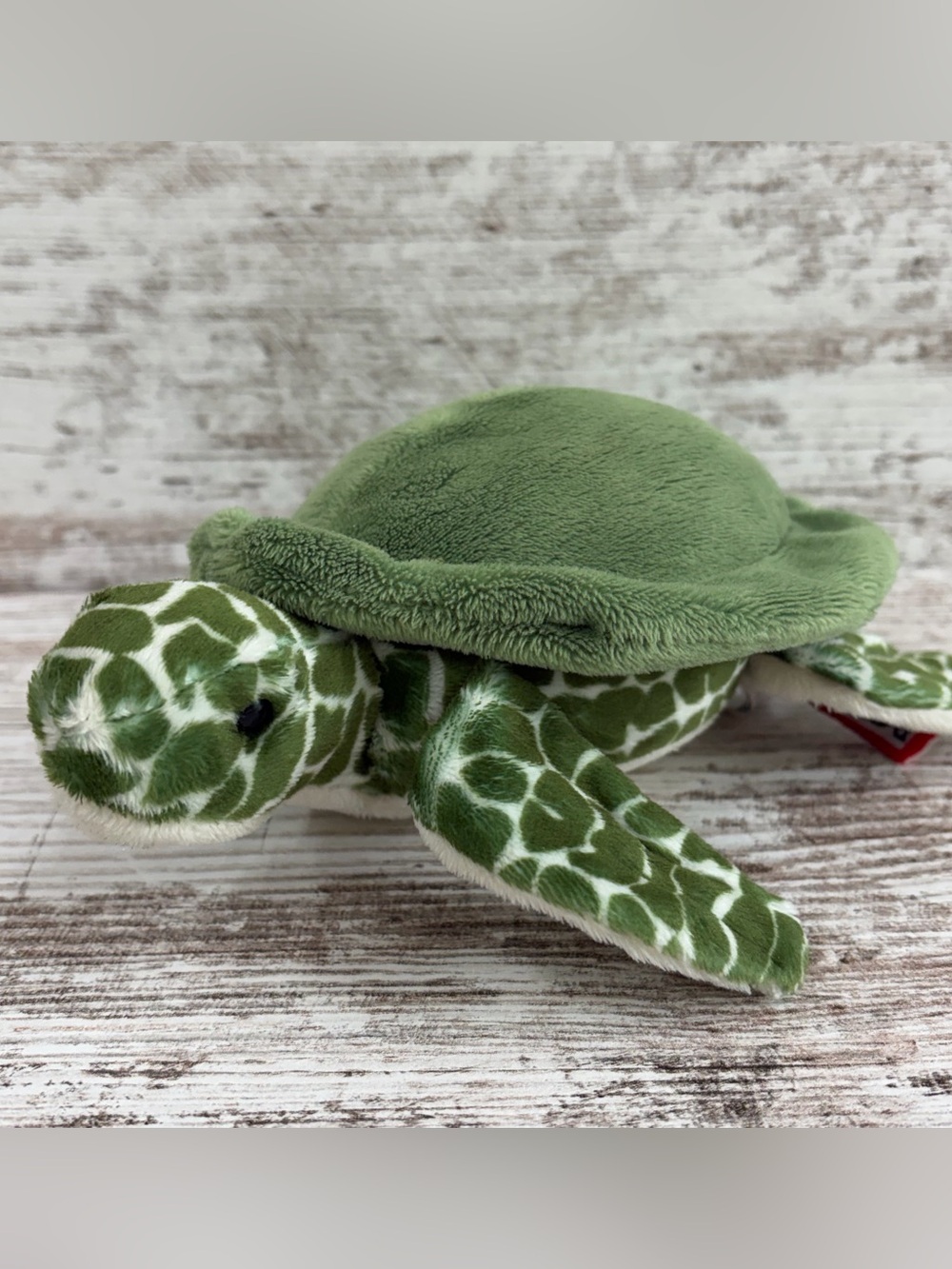 Douglas Cuddle Toy Green Sea Turtle Tillie Ocean Plush Stuffed Animal Small